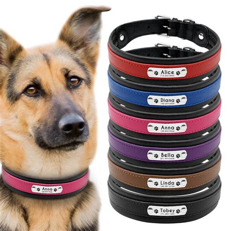 personalized dog collars for large dogs